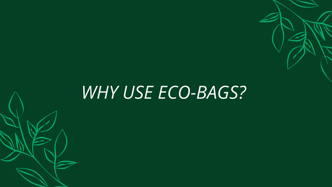 Why You Should Use Eco-Friendly Shopping Bags