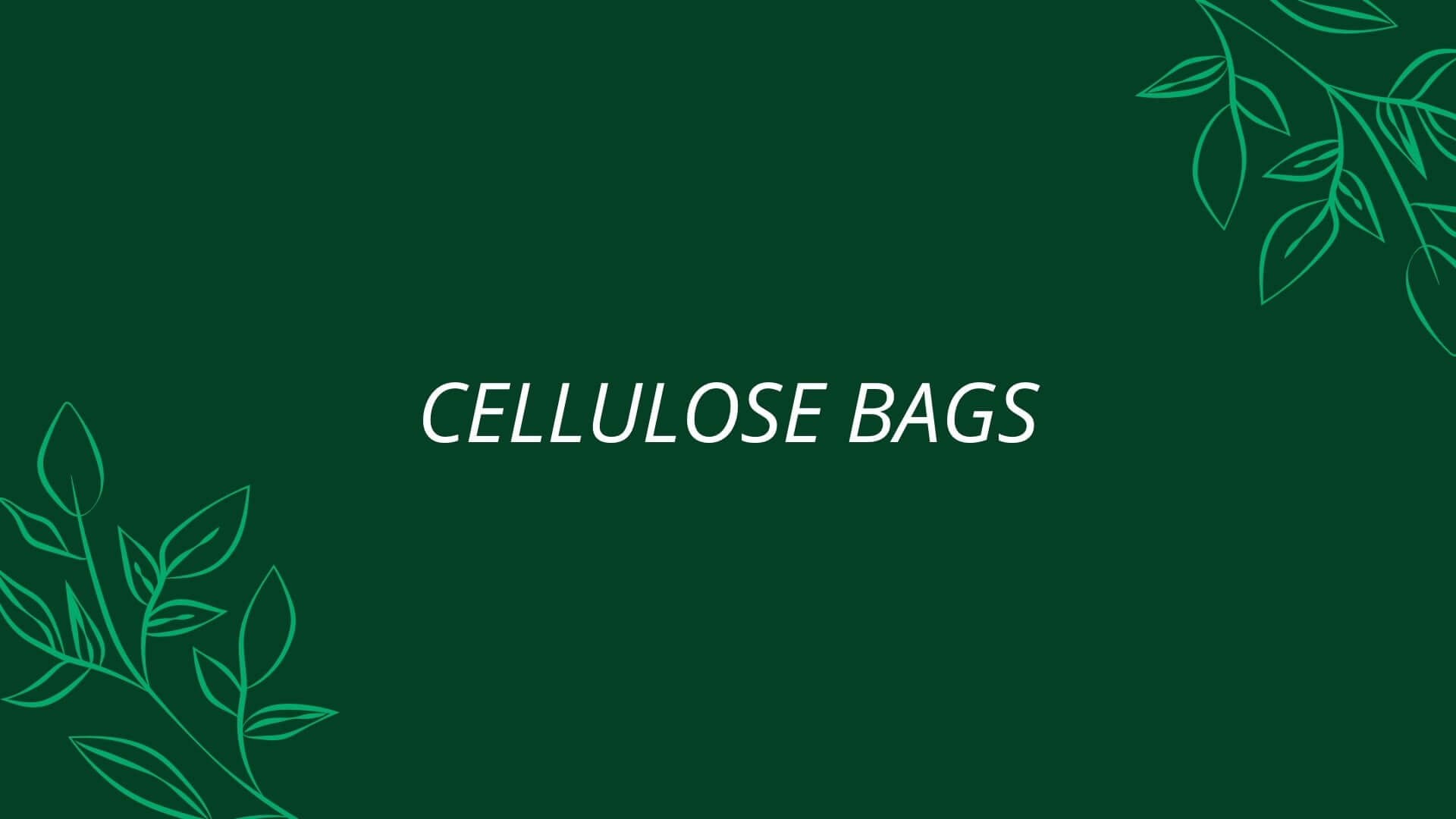 Cellulose Bags: The Eco-Friendly Solution to the Shopping Bag Conundrum
