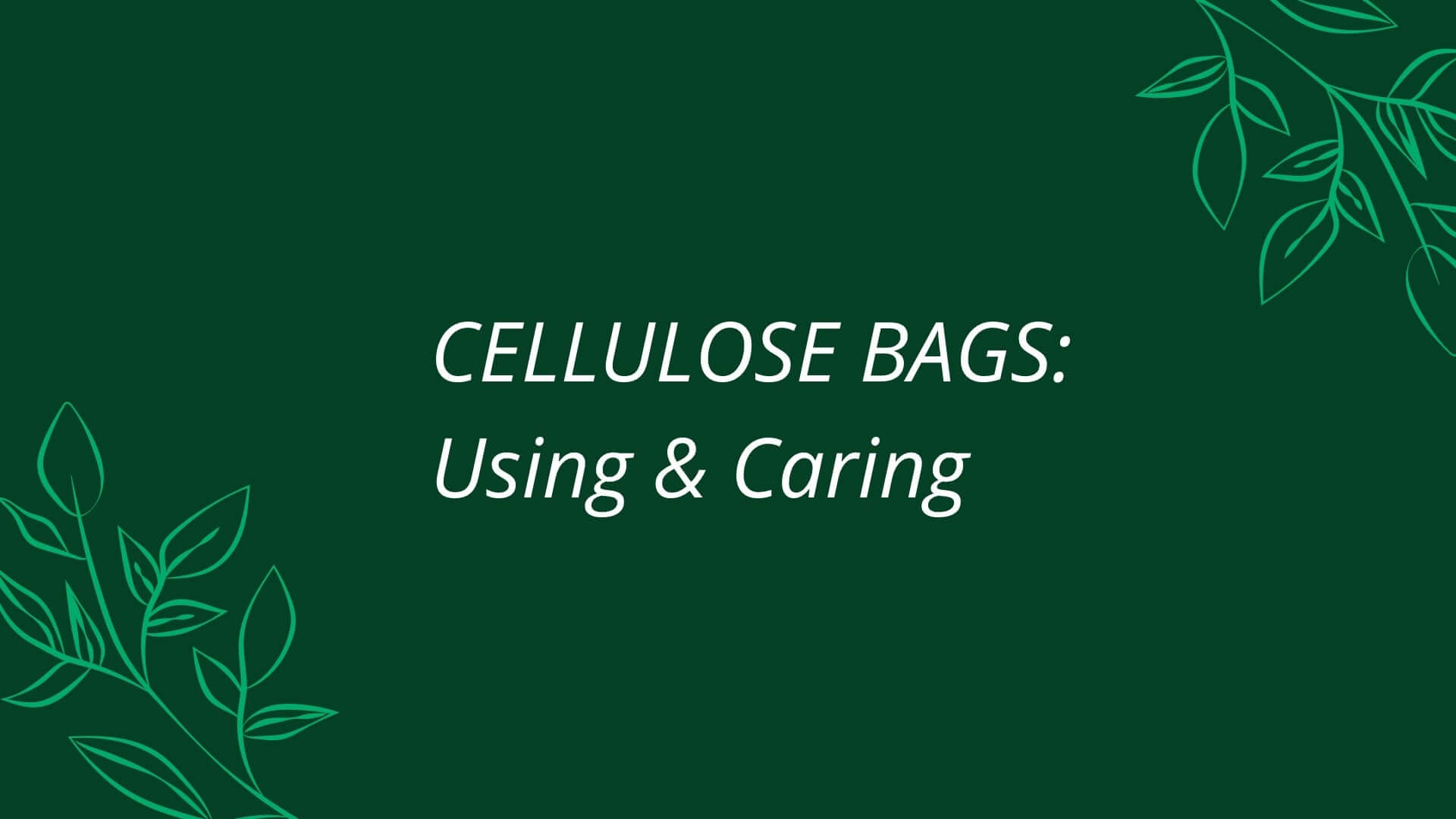 Guide to Using and Caring for Cellulose Eco Bags