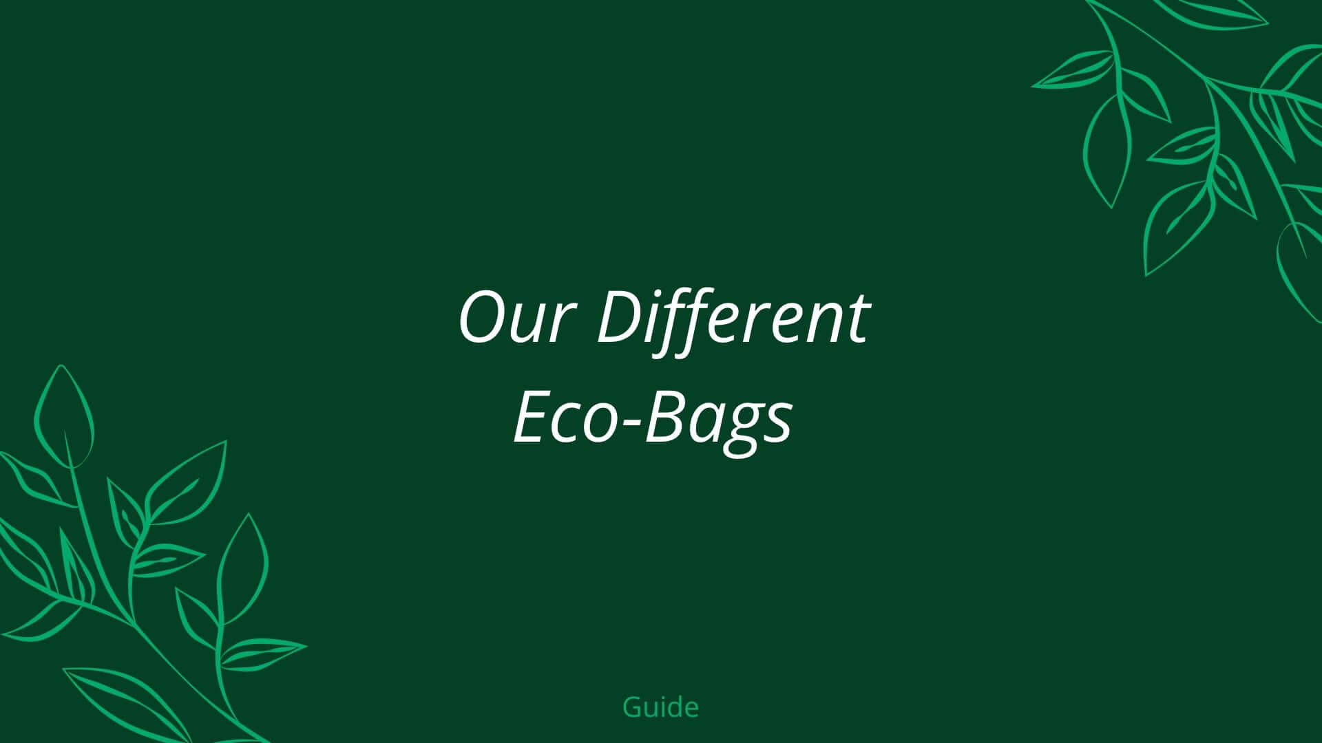 A Guide To Carrinet's Different Eco-Friendly Bags