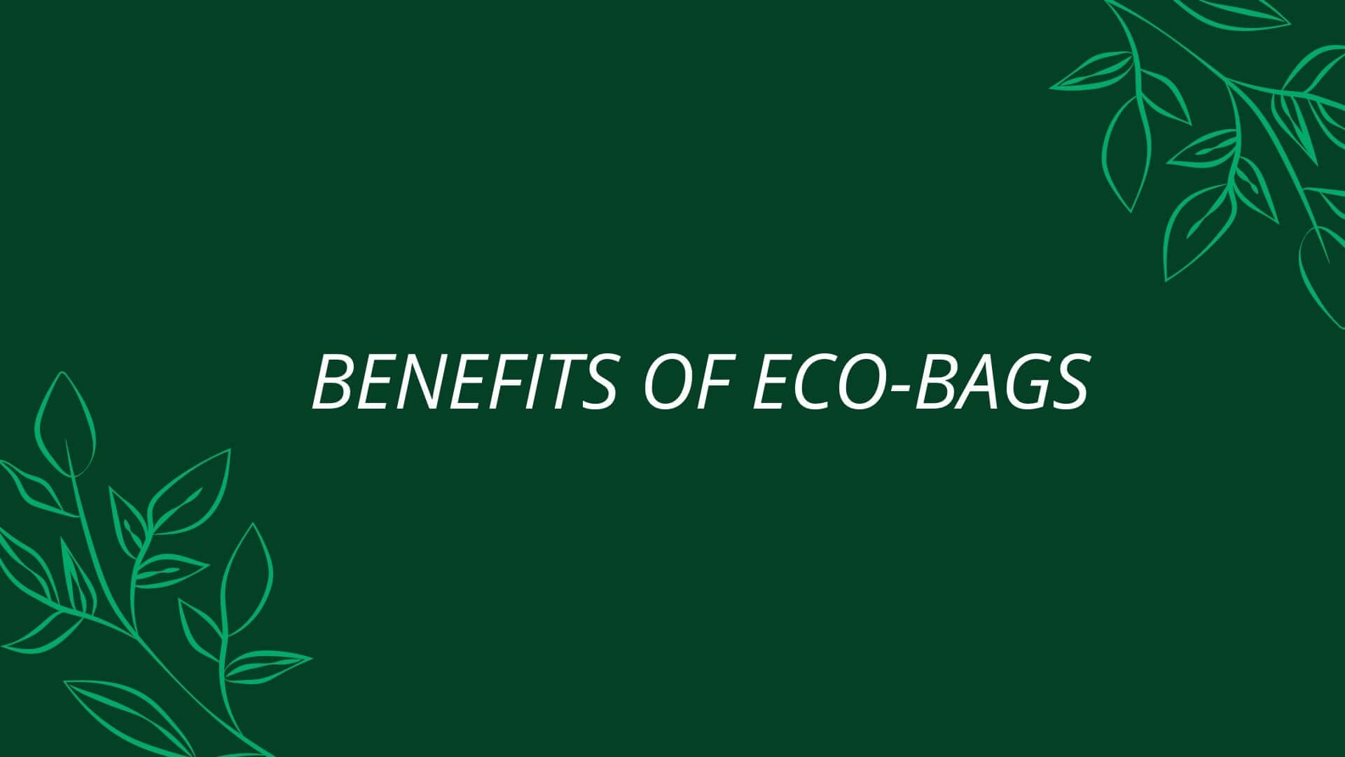 What Are The Benefits Of Reusable and Eco-Friendly Bags?