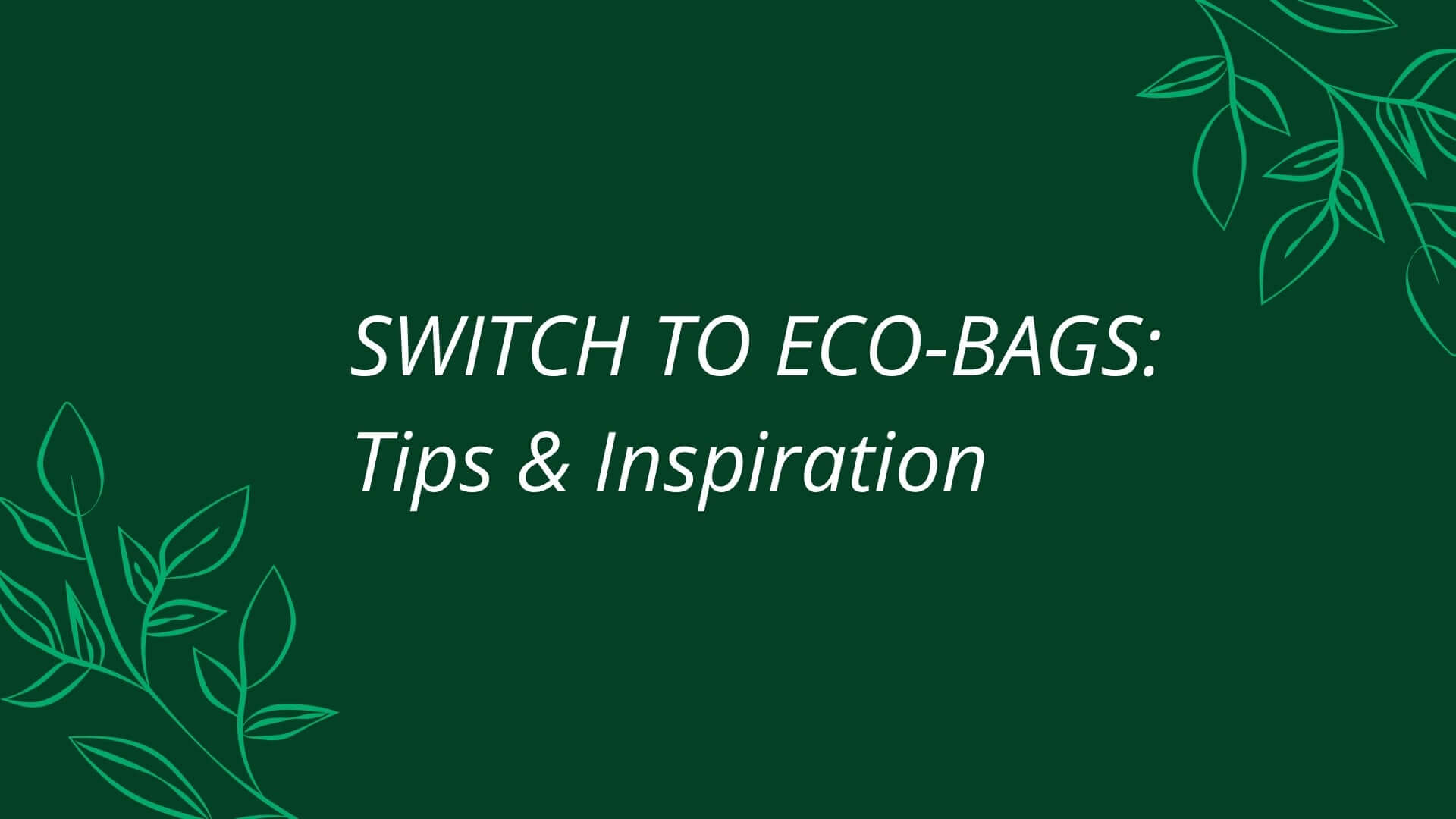 Making the Switch to Eco-Friendly Bags: Practical Tips and Inspiration
