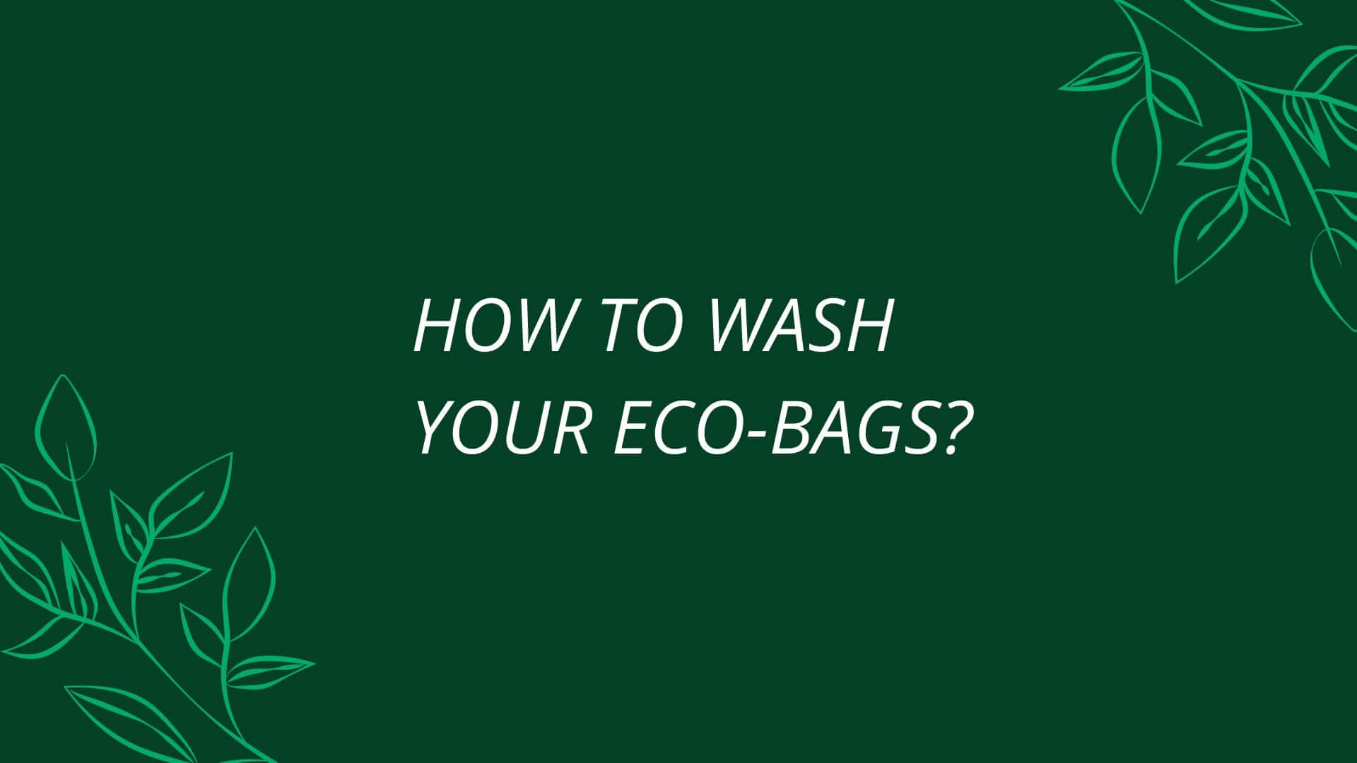 How To Wash and Maintain Eco-Friendly and Reusable Bags